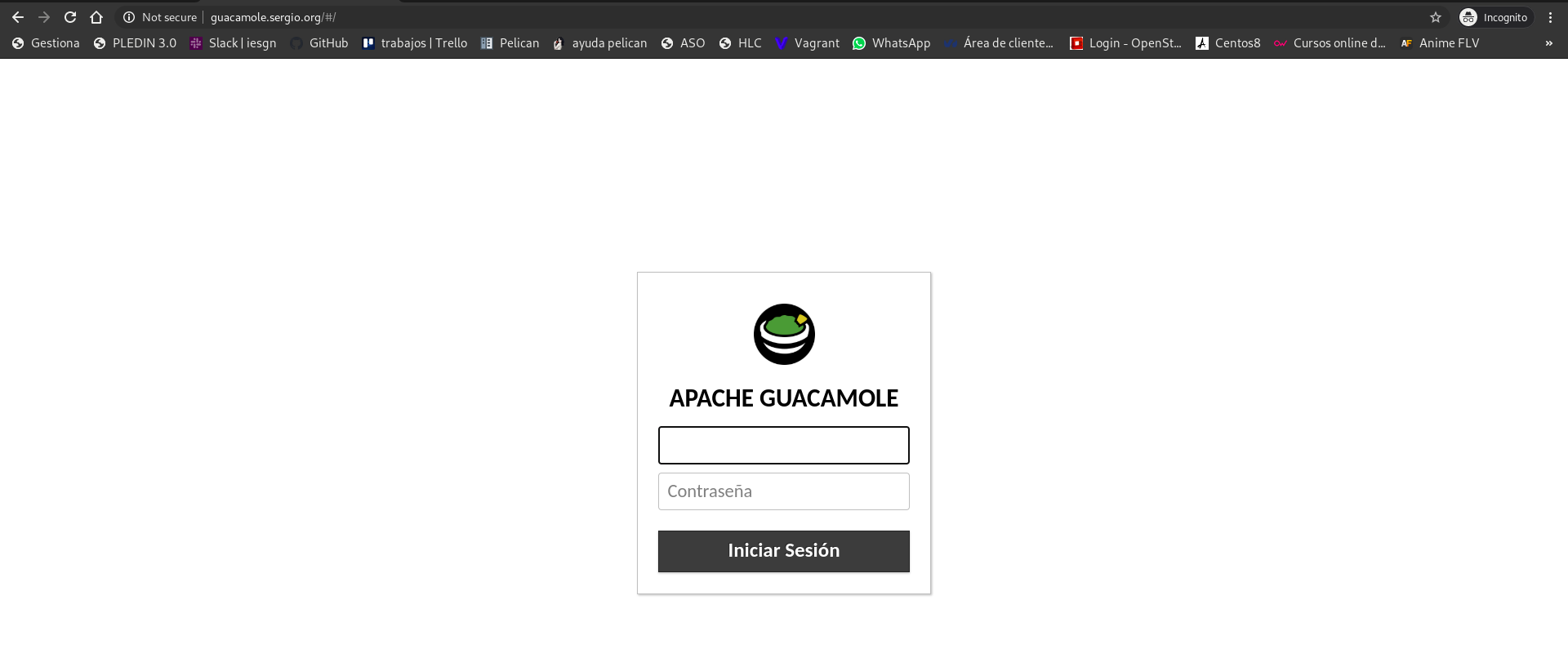 guacamole inicio