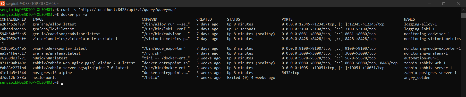 docker ps -a tras la restauración