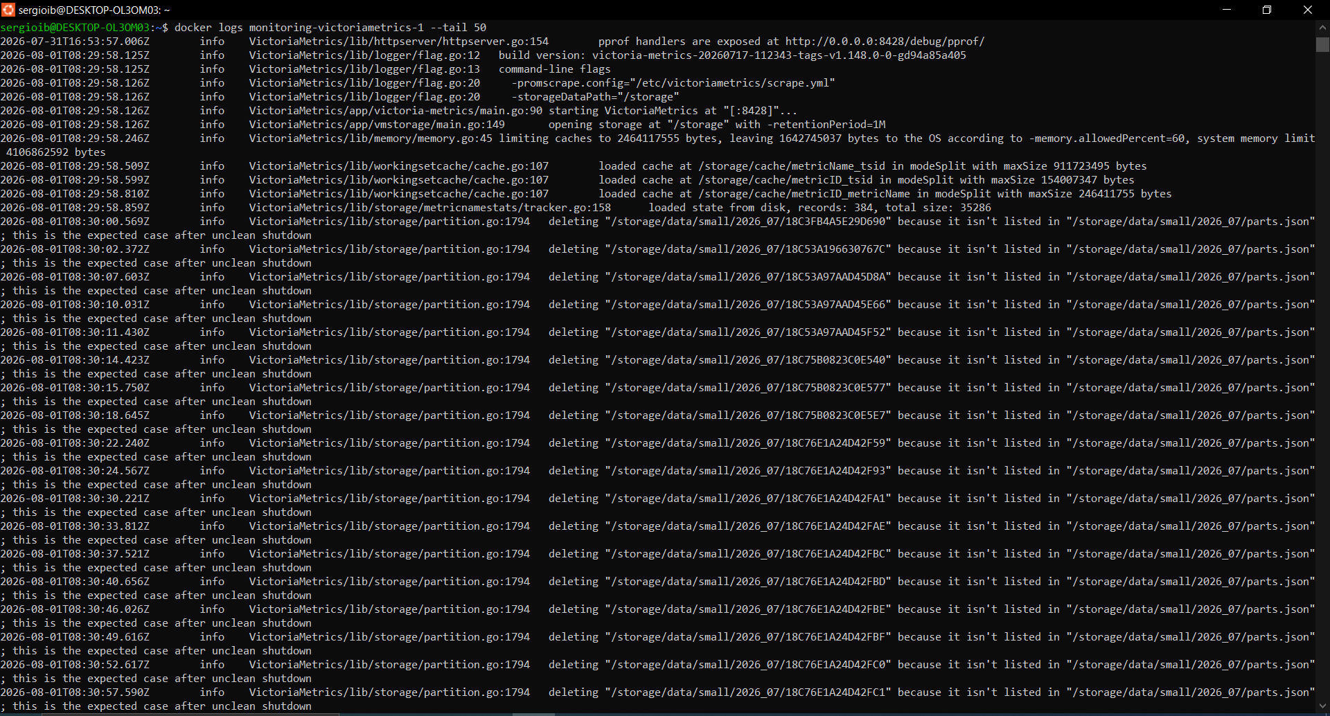 logs VictoriaMetrics tras la restauración