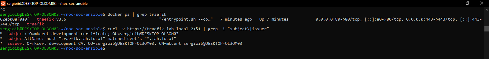 verificación de traefik en terminal